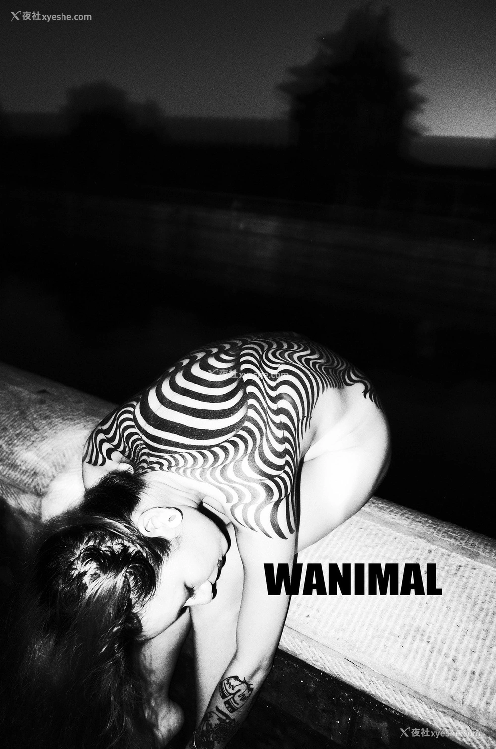 1P - 王动]WANIMAL Tumblr写真第收集