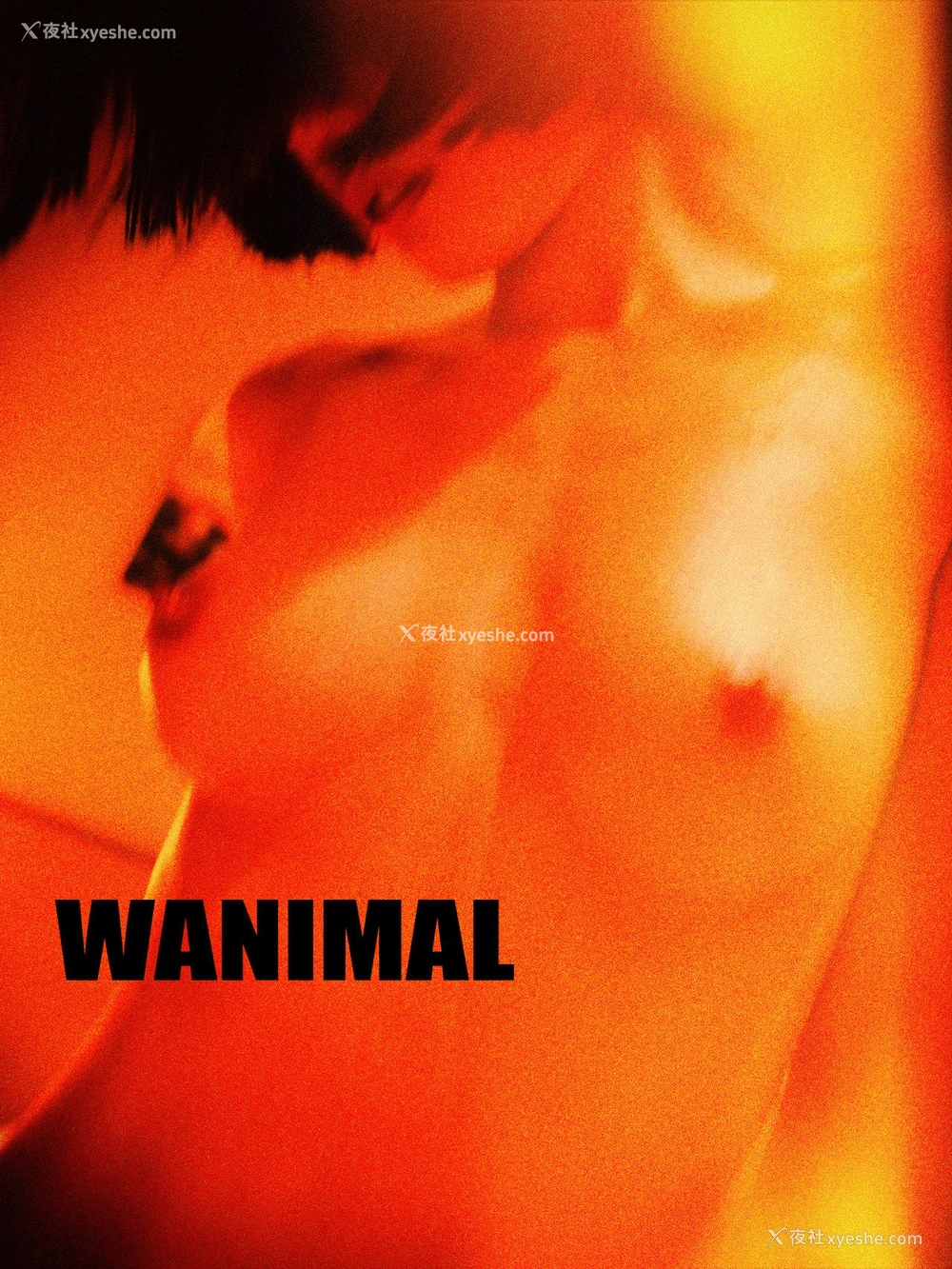 1P - 王动]WANIMAL Tumblr写真第收集
