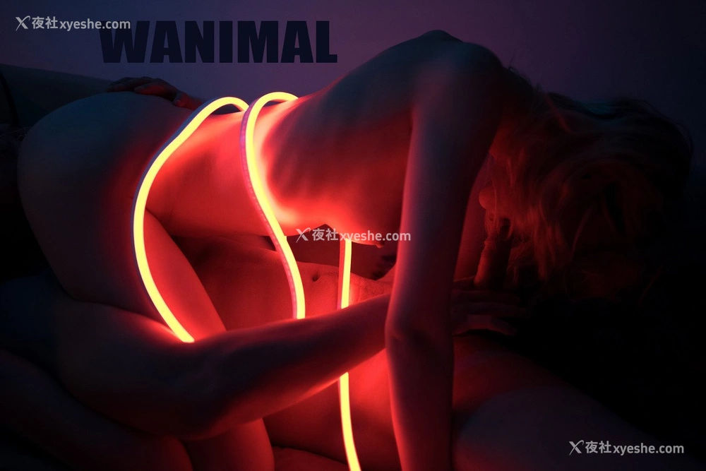 1P - 王动]WANIMAL Tumblr写真第收集