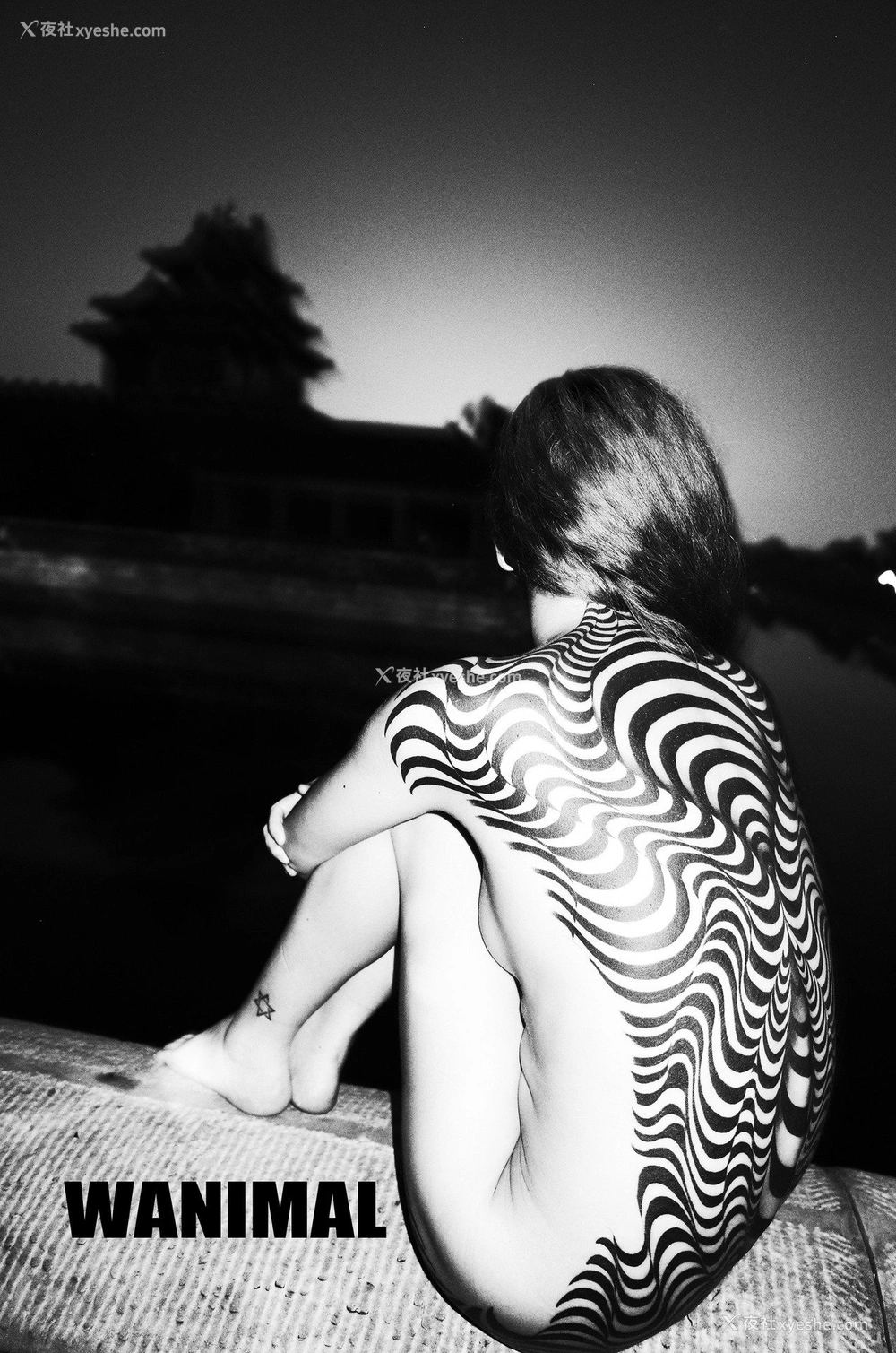 1P - 王动]WANIMAL Tumblr写真第收集