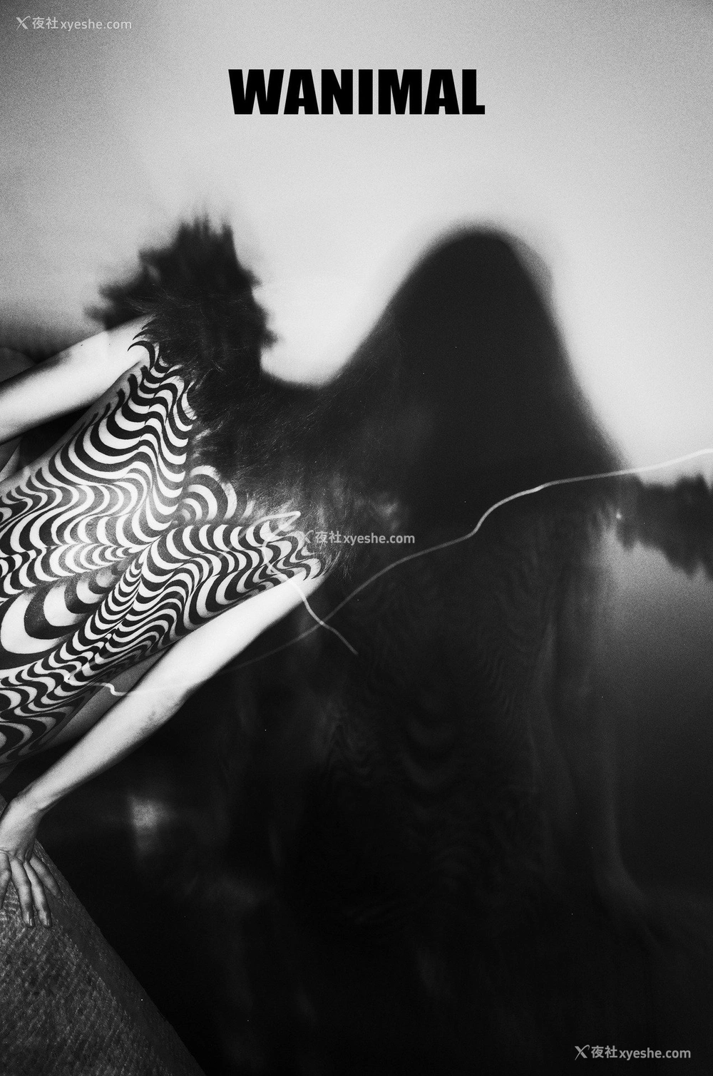 1P - 王动]WANIMAL Tumblr写真第收集