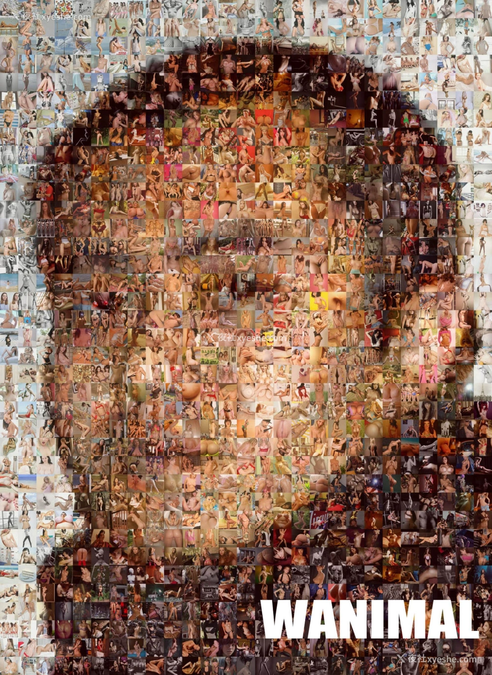 1P - 2013年作品集