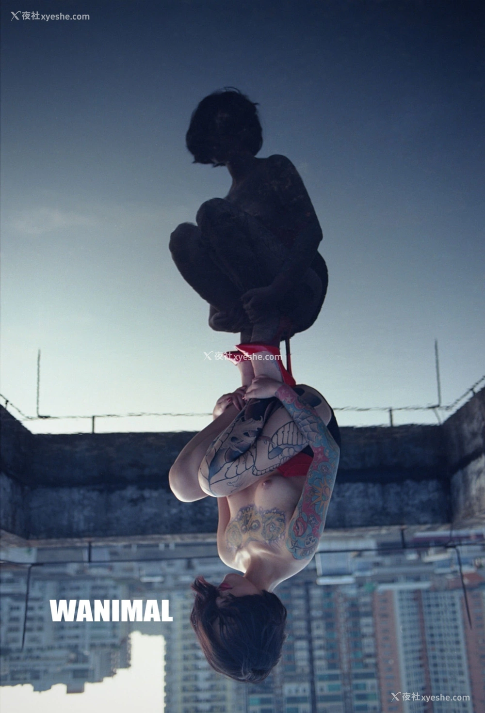 1P - 2013年作品集