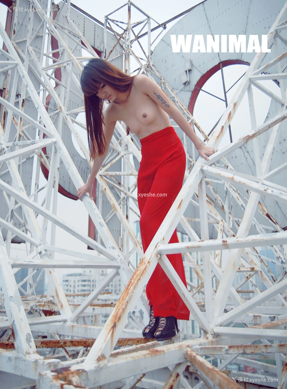 1P - 2013年作品集
