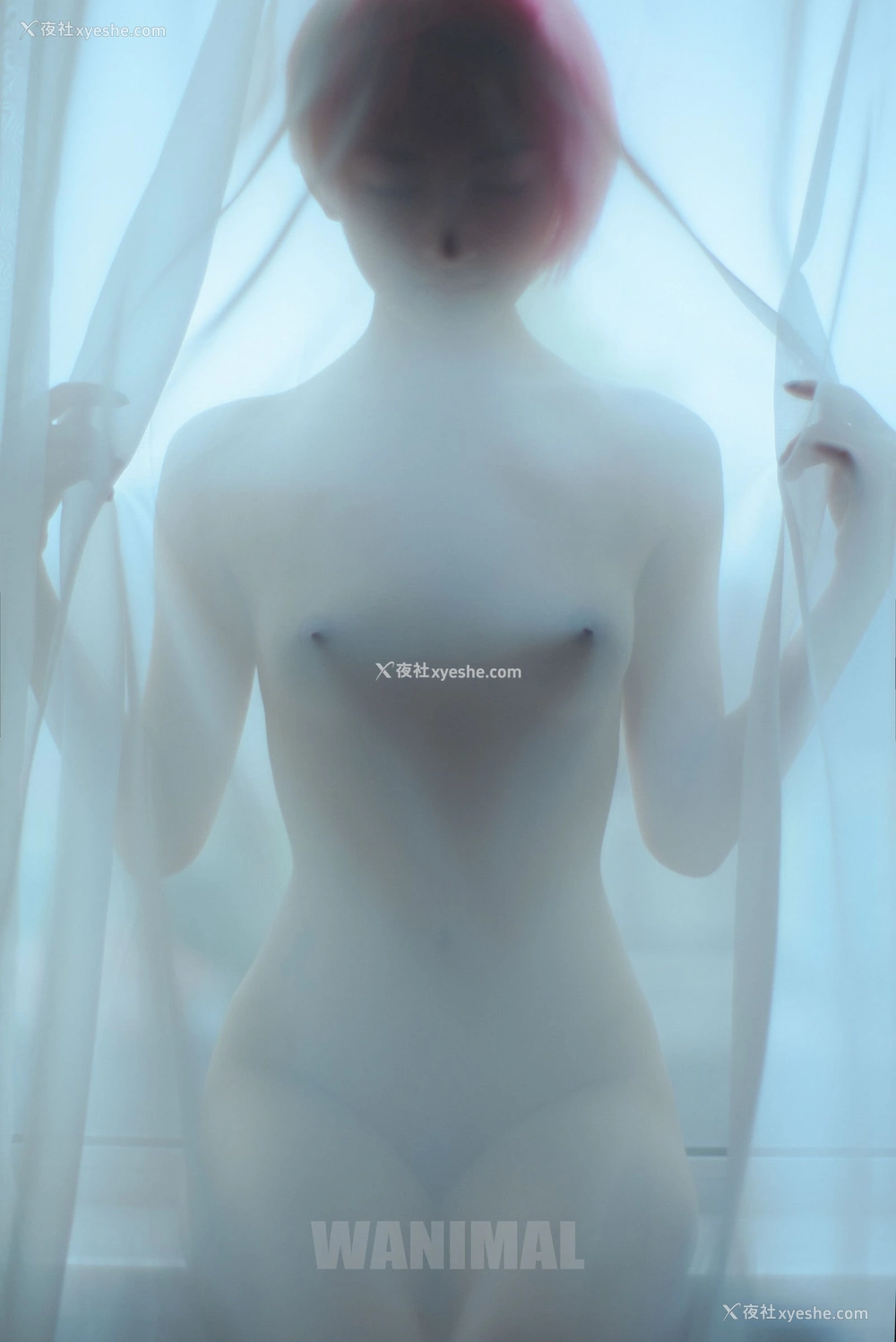 1P - 2016年作品集
