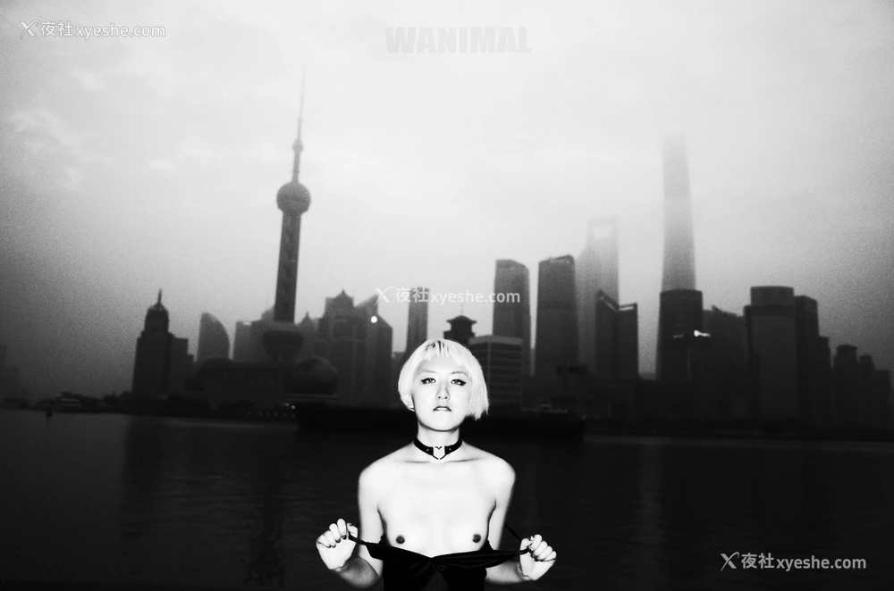 1P - 2016年作品集