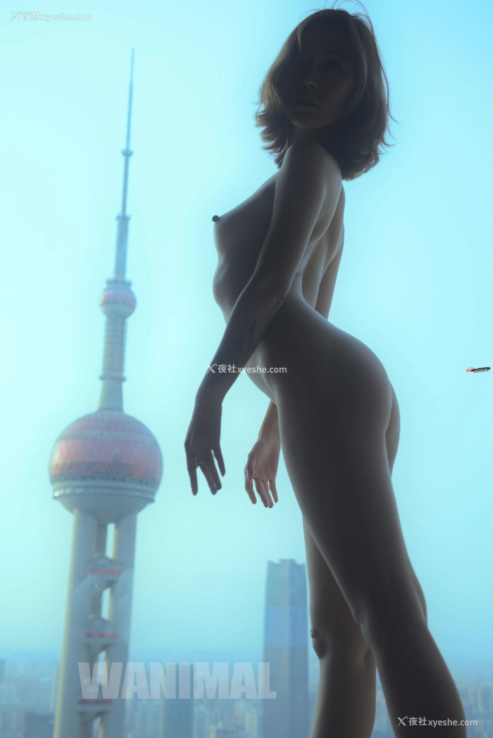 1P - 2016年作品集