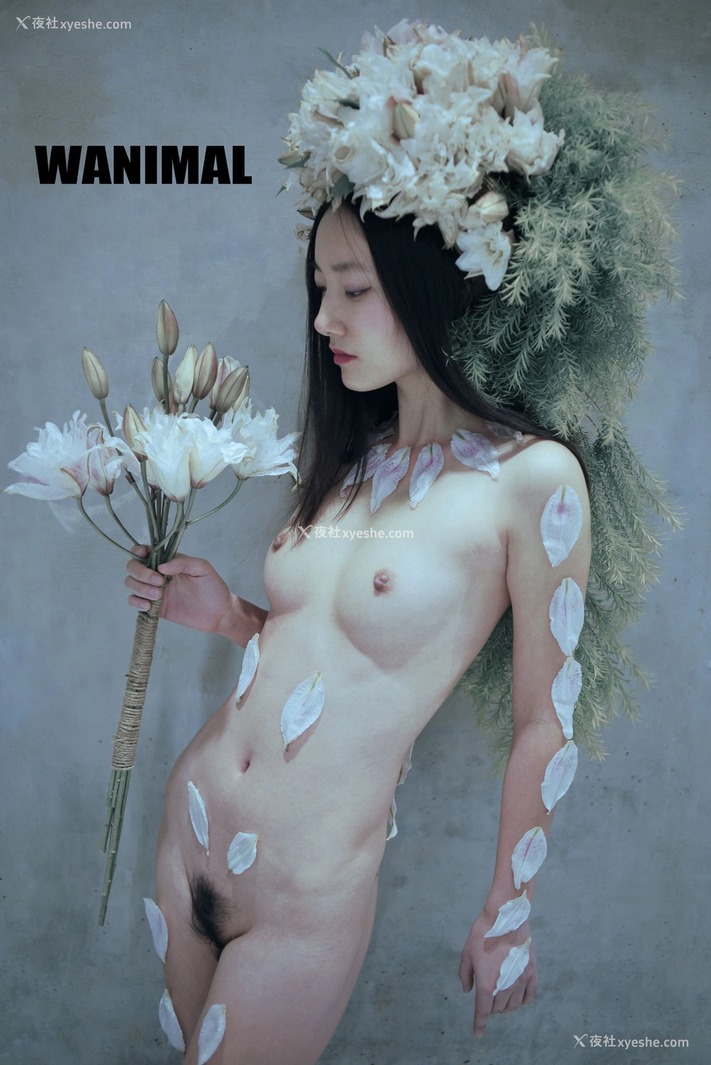 1P - 2016年作品集