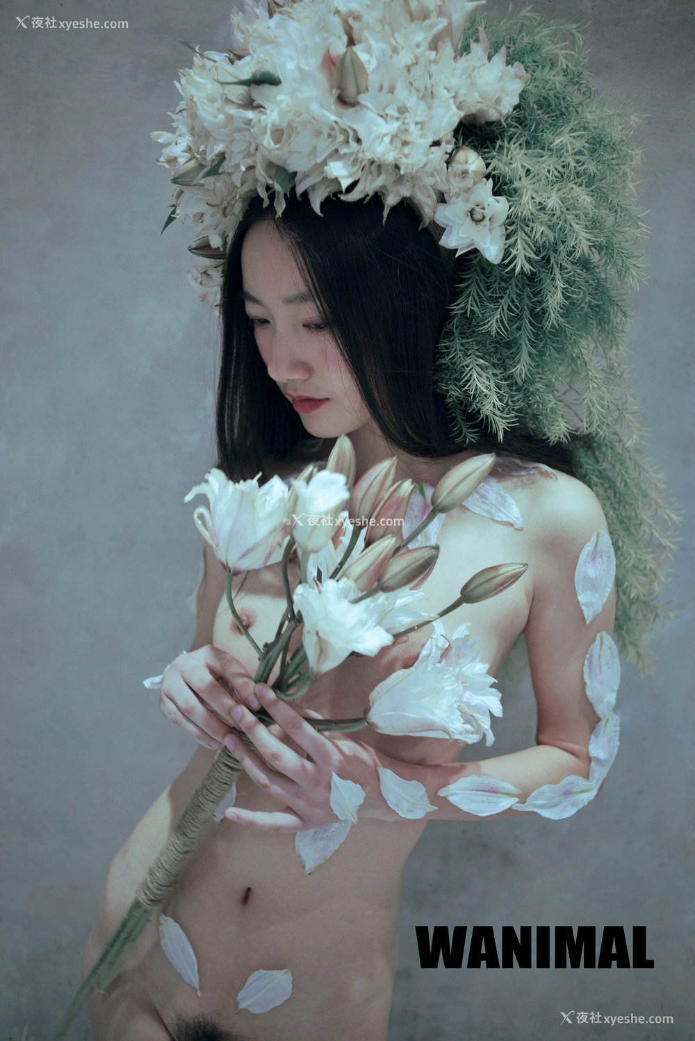 1P - 2016年作品集