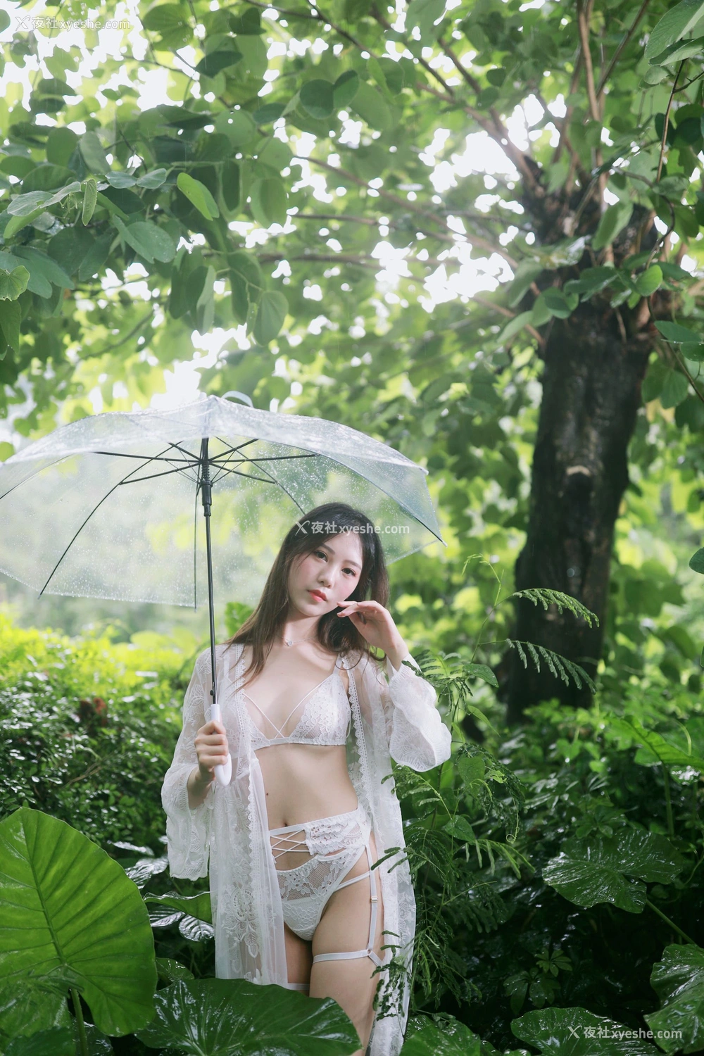 1P - 抖娘·利世《小树林》