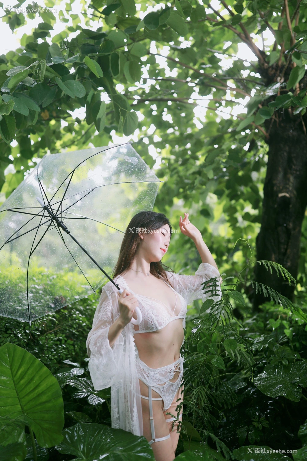 1P - 抖娘·利世《小树林》