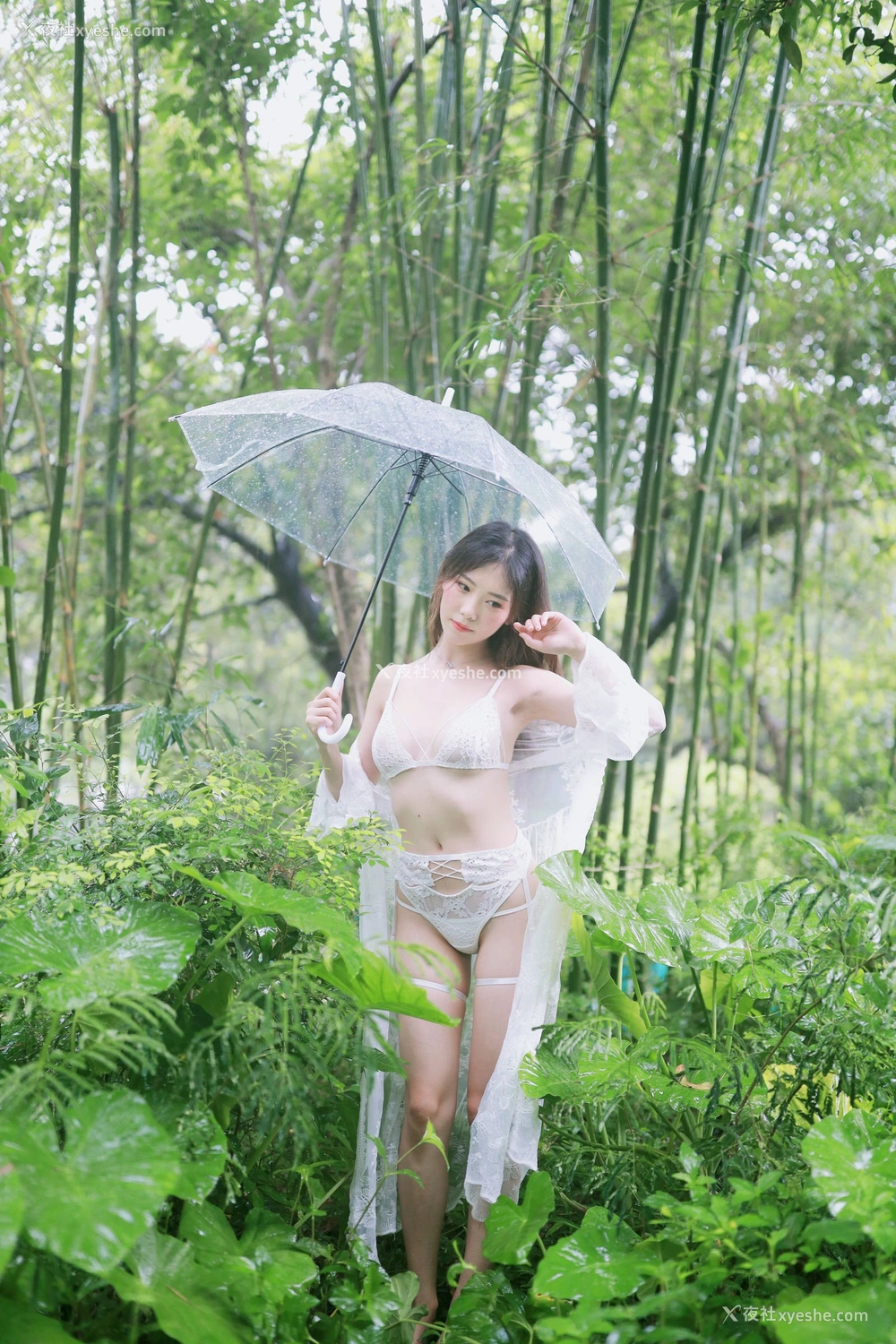 1P - 抖娘·利世《小树林》