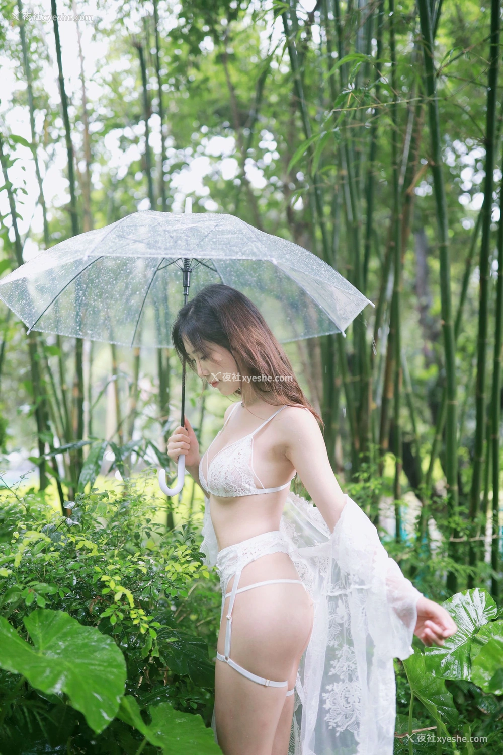 1P - 抖娘·利世《小树林》