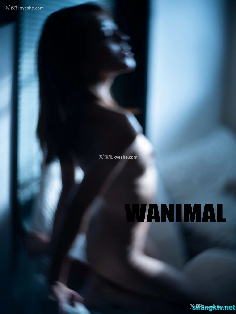 1P - 【网络收集】王动WANIMAL 御用上海模特 Ada 人体私拍合集