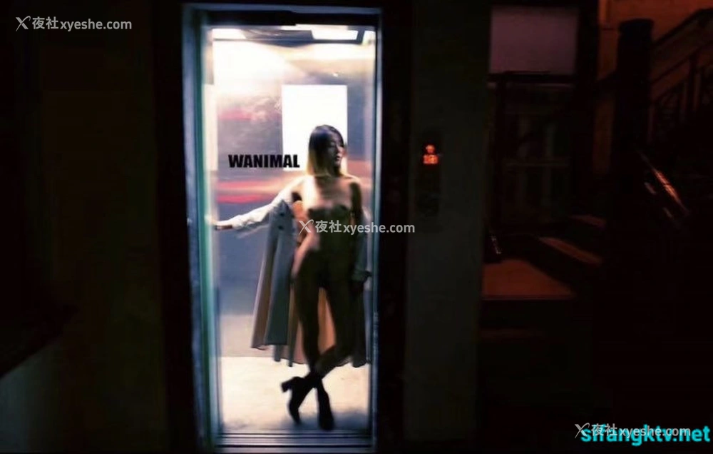1P - 【网络收集】王动WANIMAL 御用上海模特 Ada 人体私拍合集