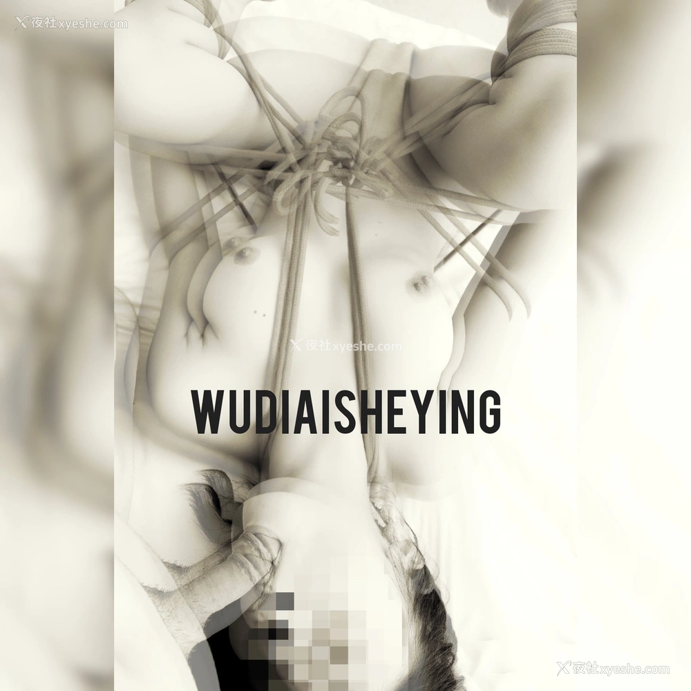1P - 网络收集：无敌爱摄影（WUDIAISHEYING）性爱作品大集合
