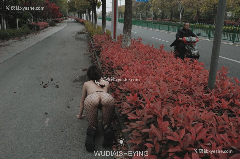 1P - 摄影师无敌爱摄影人体私拍合集（十二）