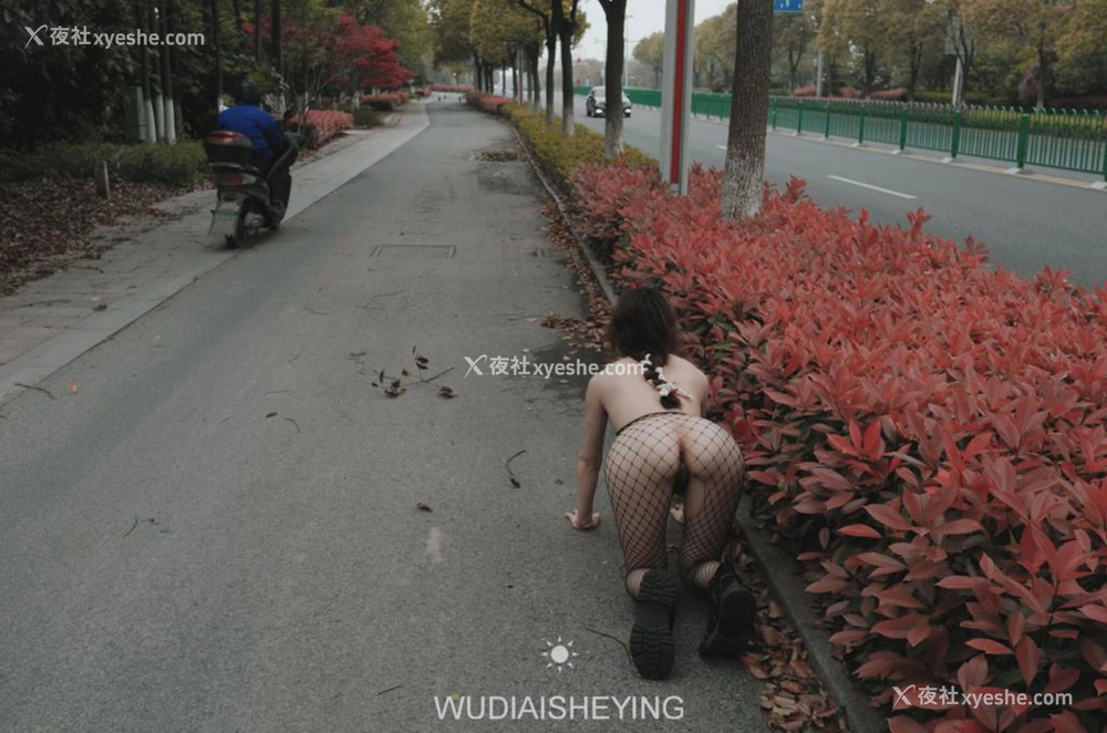 1P - 摄影师无敌爱摄影人体私拍合集（十二）