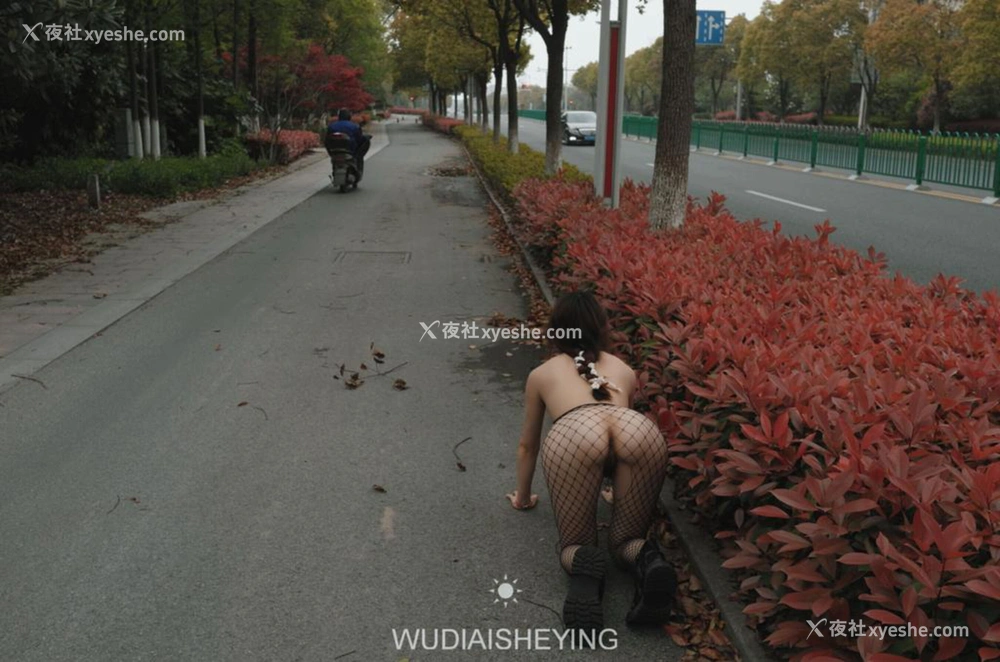 1P - 摄影师无敌爱摄影人体私拍合集（十二）