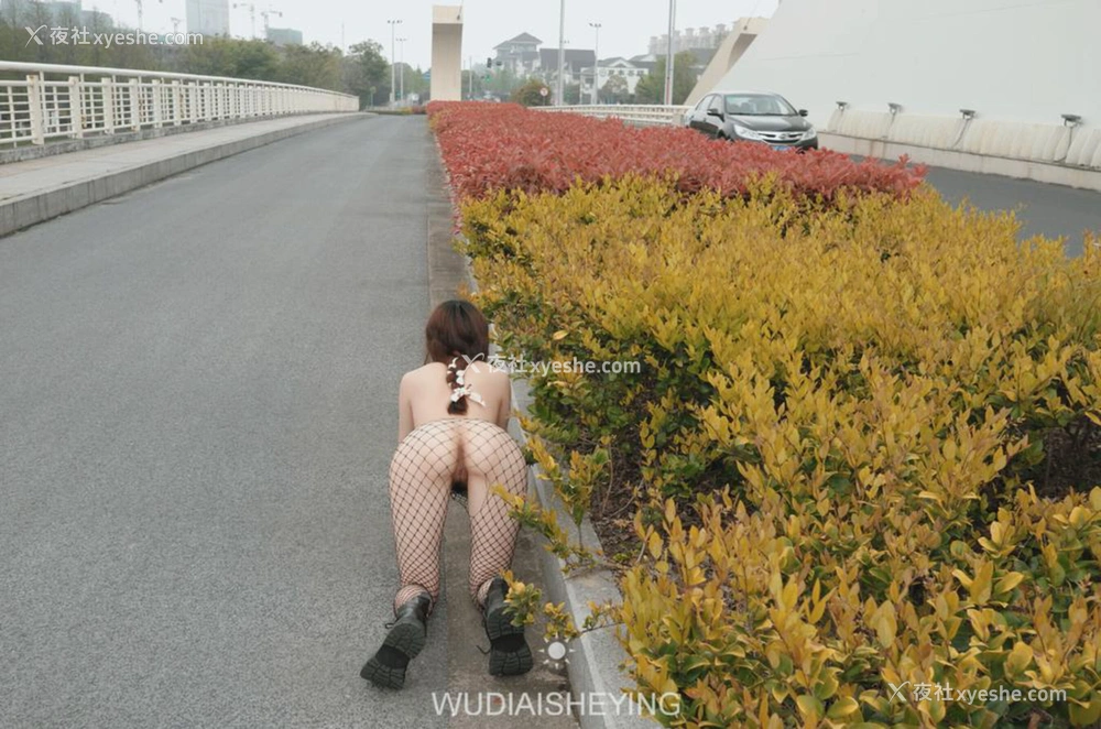 1P - 摄影师无敌爱摄影人体私拍合集（十二）