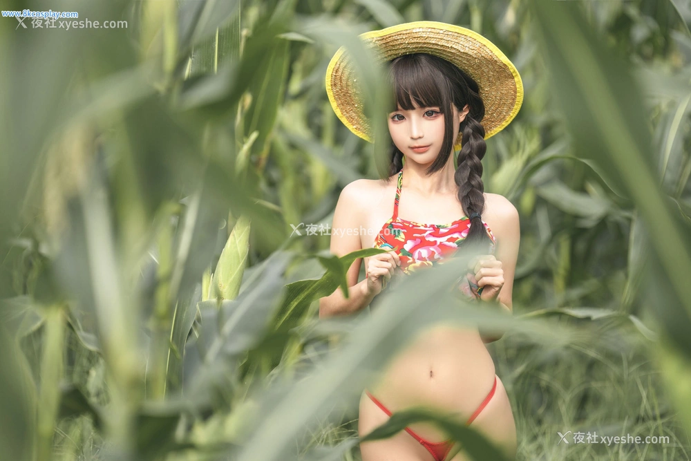 1P - 蠢沫沫《苞米地的故事》