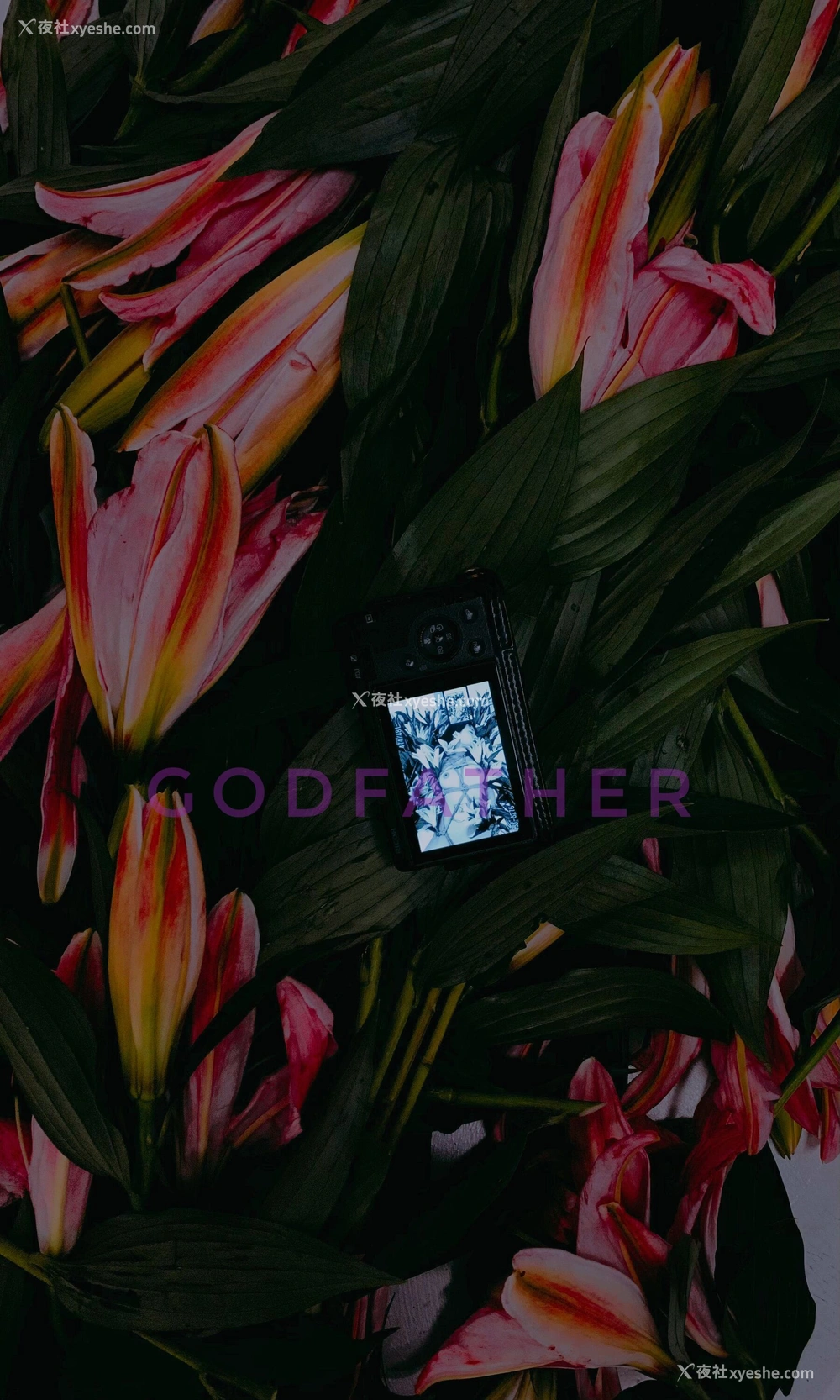 1P - 摄影师 Godfather 作品集