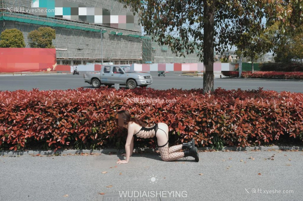 1P - 摄影师无敌爱摄影人体私拍合集（五）