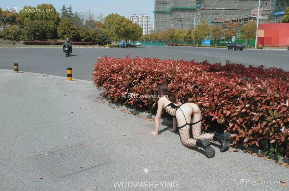 1P - 摄影师无敌爱摄影人体私拍合集（五）