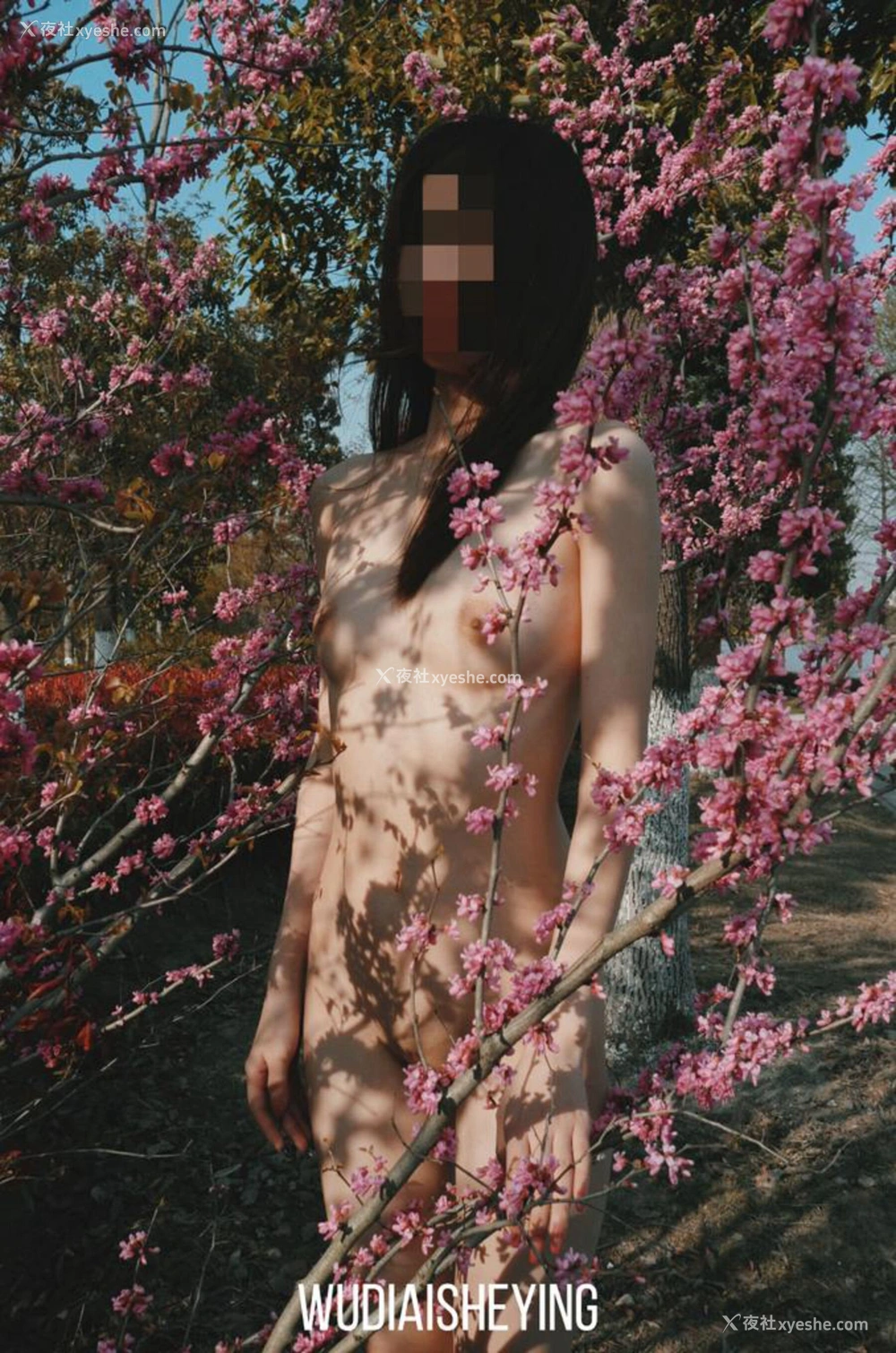 1P - 摄影师无敌爱摄影人体私拍合集（五）