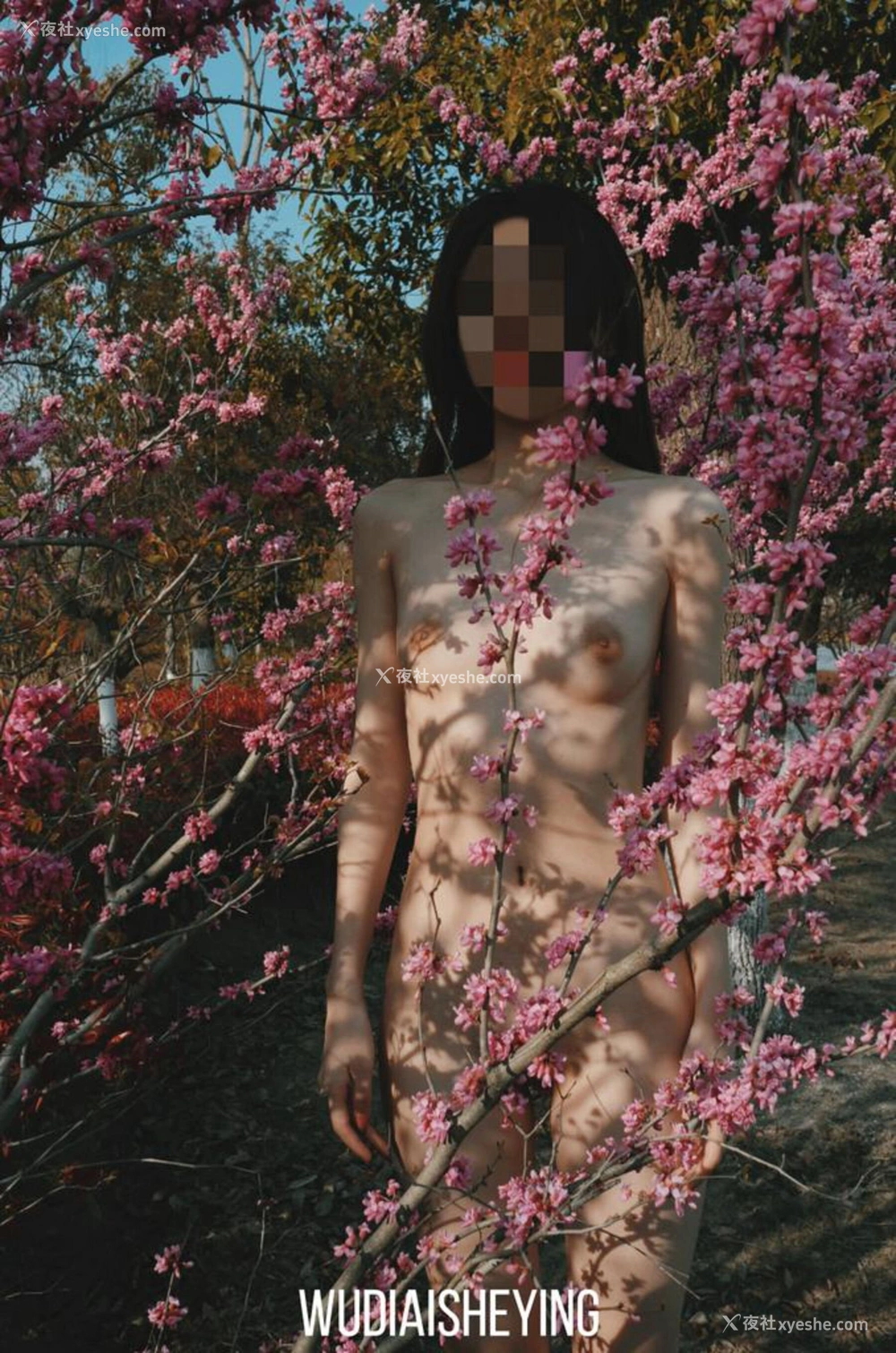 1P - 摄影师无敌爱摄影人体私拍合集（五）