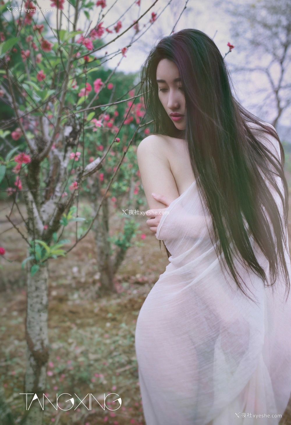 1P - 西西&李宝宝