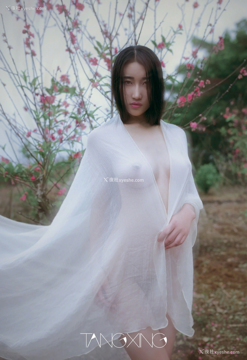 1P - 西西&李宝宝
