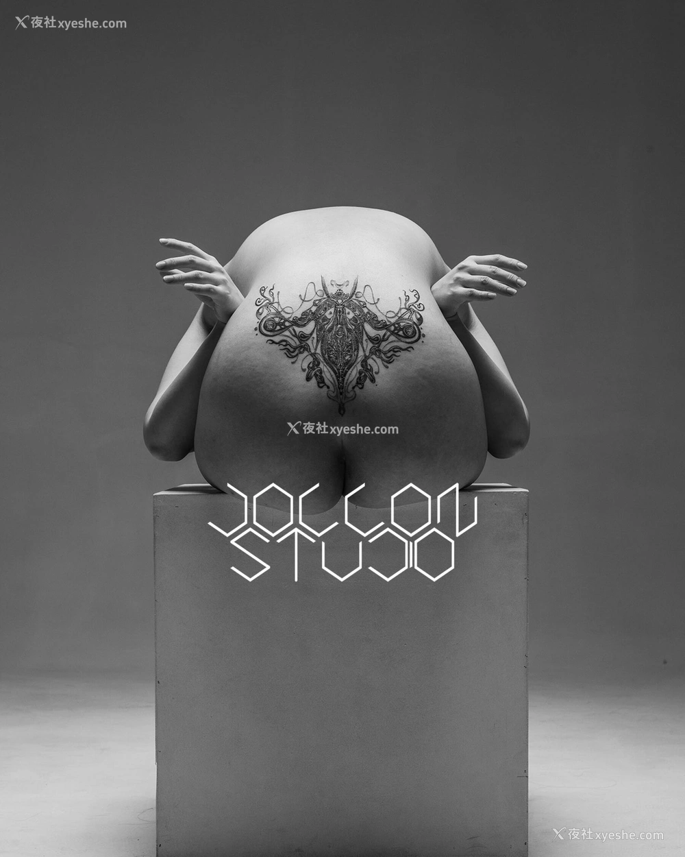 1P - 摄影师卓仑（Jollon）作品集