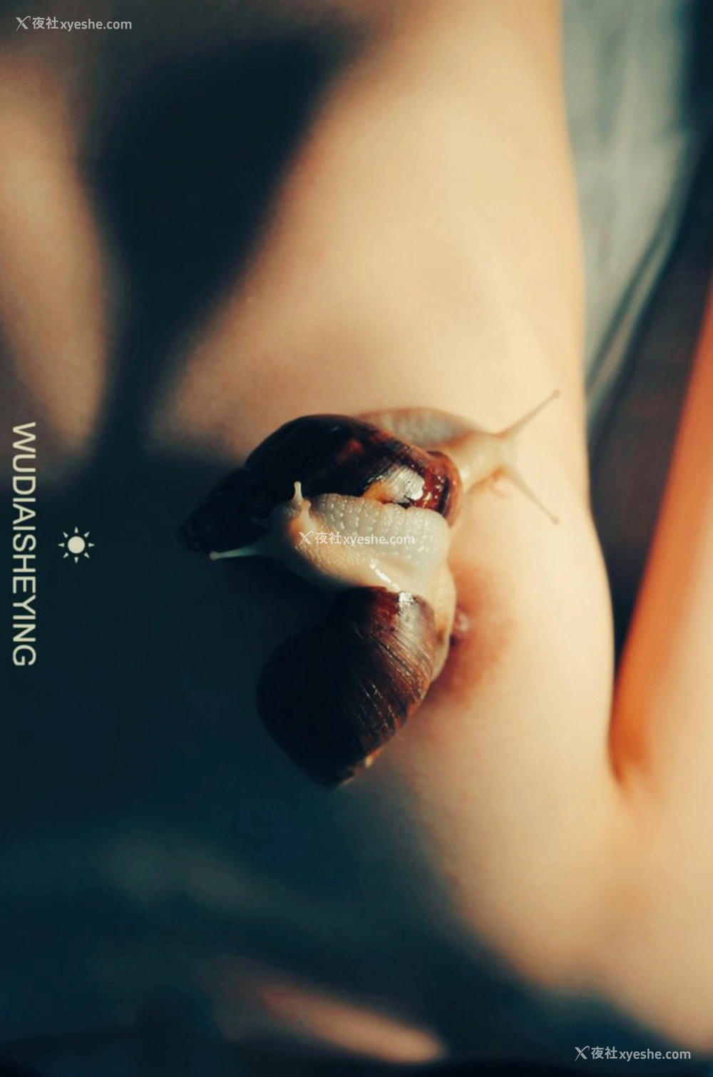 1P - 摄影师无敌爱摄影人体私拍合集（六）