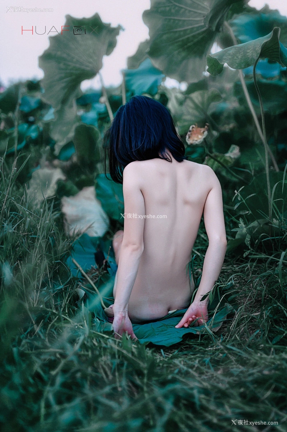 1P - 摄影师 HUAFOX 作品集