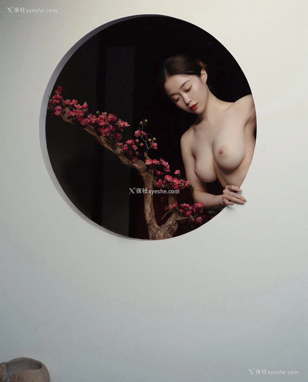 1P - 摄影师 ArtStu 作品集