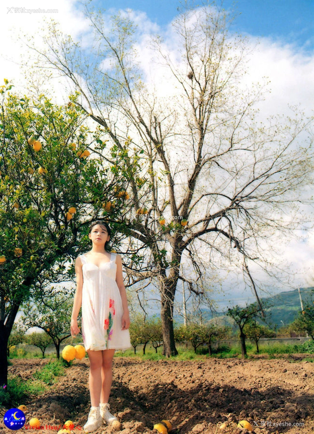1P - 徐若瑄《Angel》