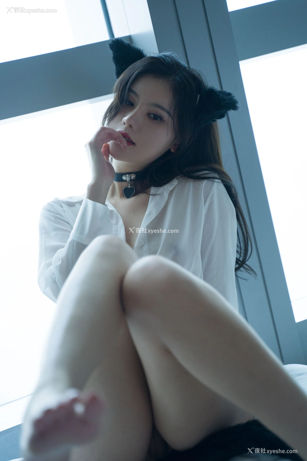 1P - 就是阿朱啊《猫》