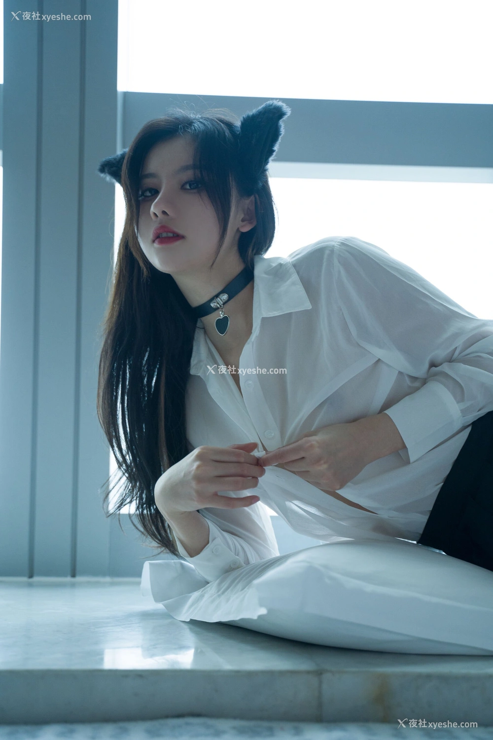 1P - 就是阿朱啊《猫》