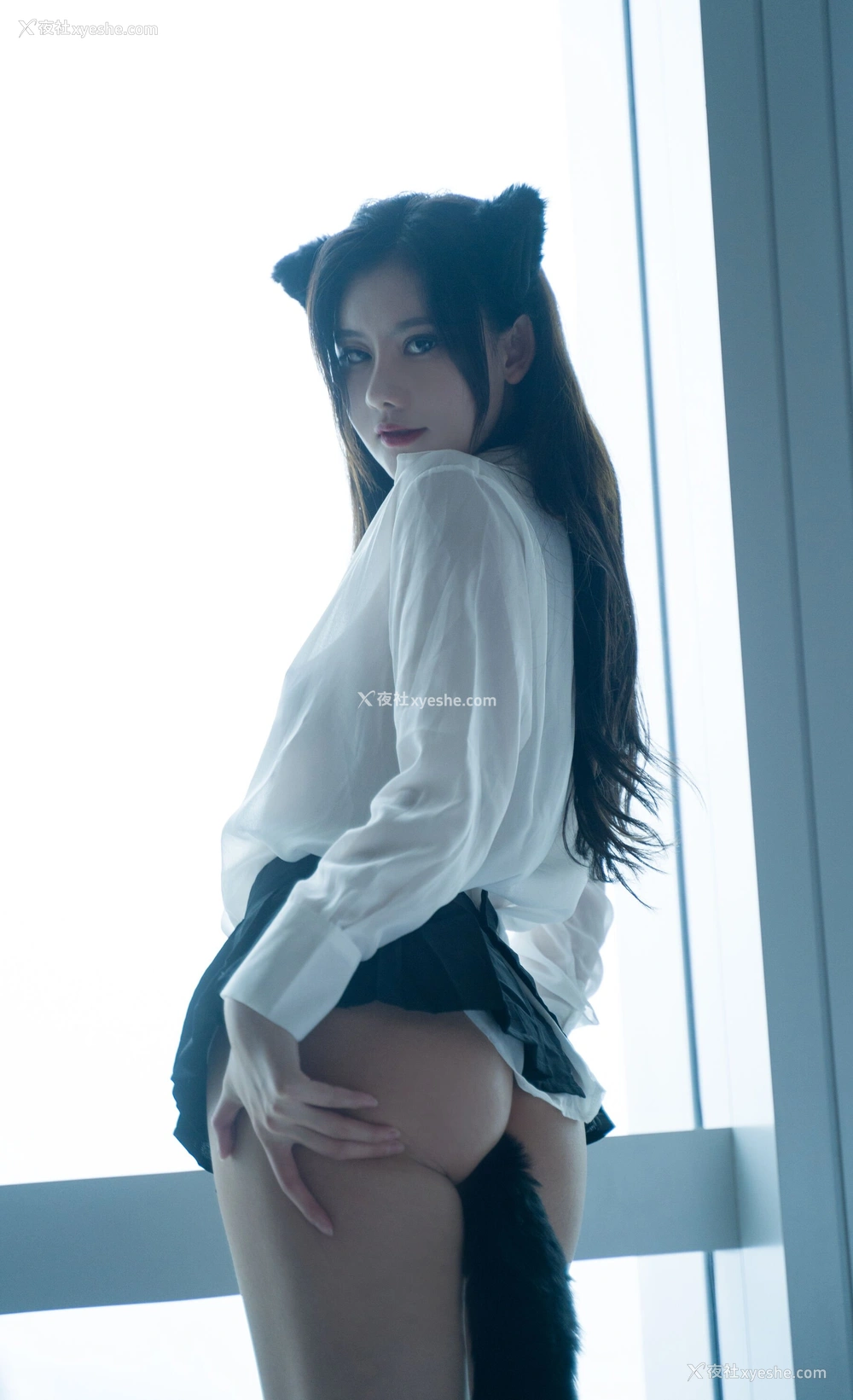 1P - 就是阿朱啊《猫》