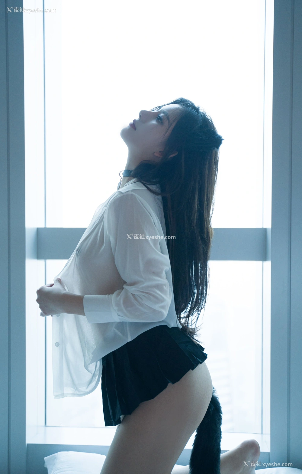 1P - 就是阿朱啊《猫》