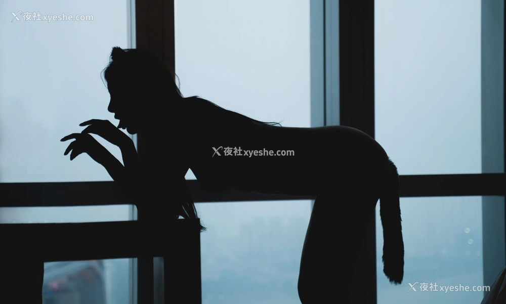 1P - 就是阿朱啊《猫》