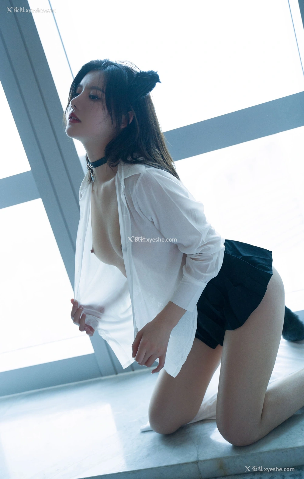 1P - 就是阿朱啊《猫》
