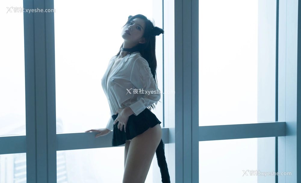 1P - 就是阿朱啊《猫》