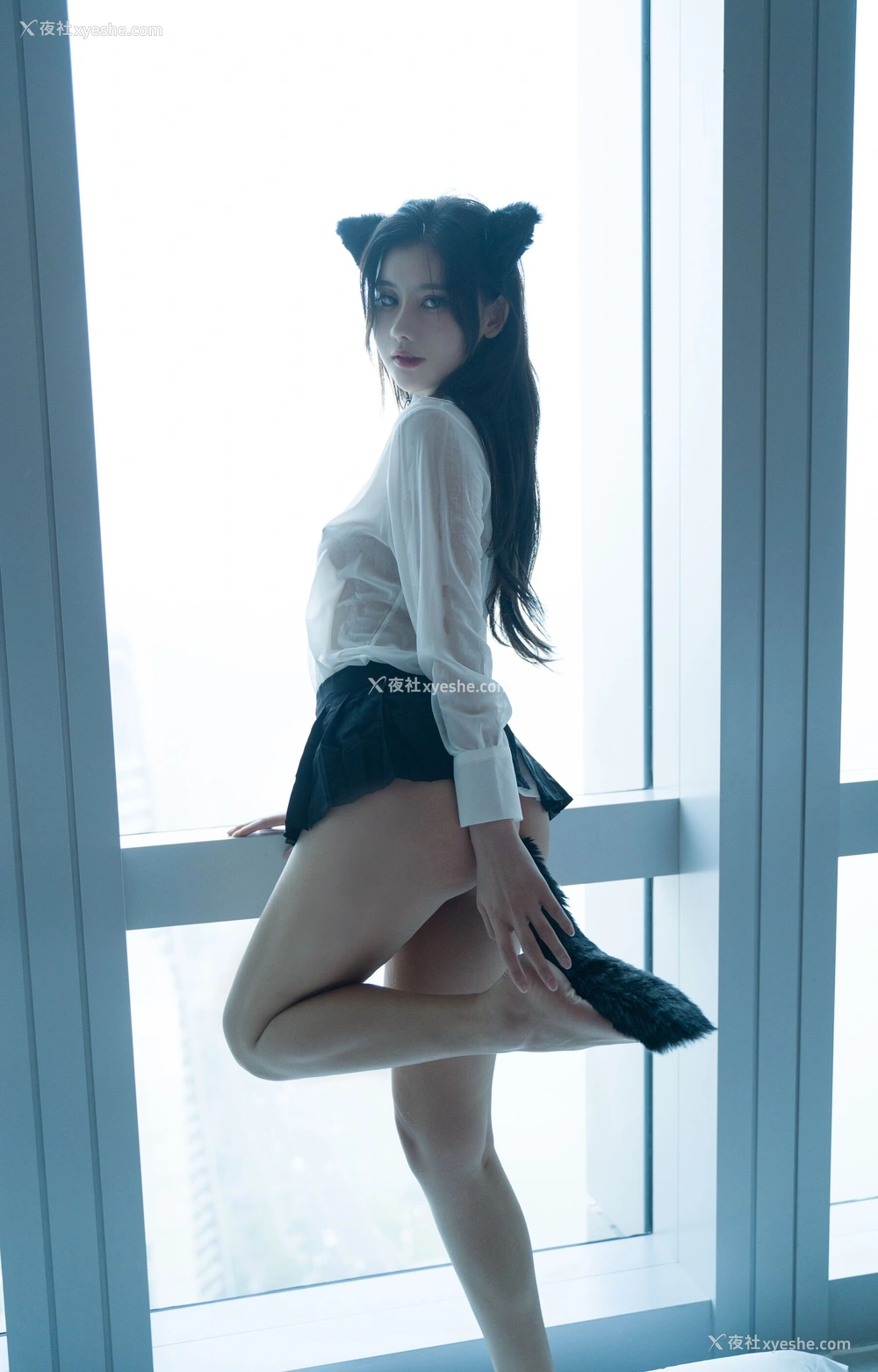 1P - 就是阿朱啊《猫》