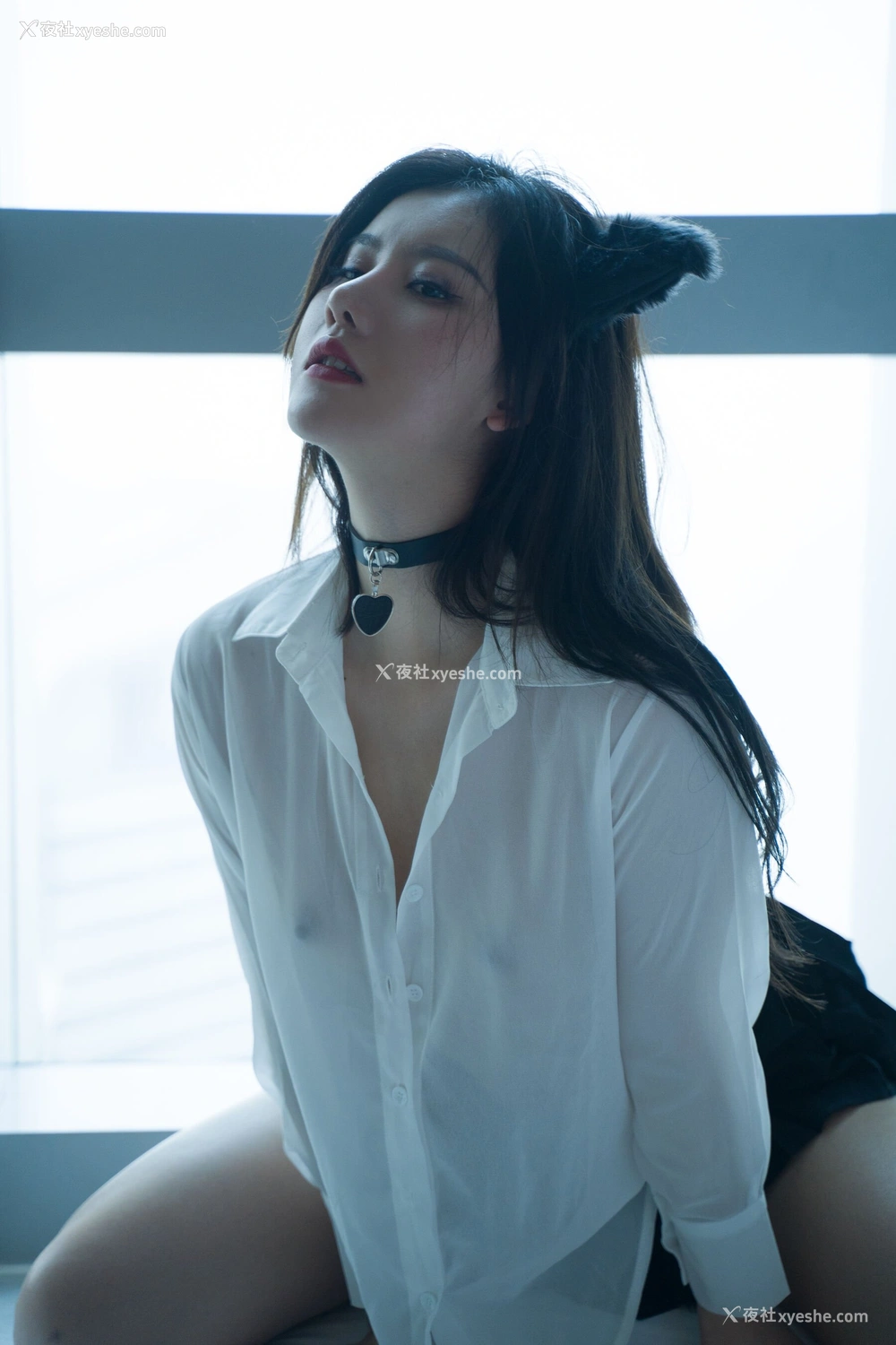 1P - 就是阿朱啊《猫》