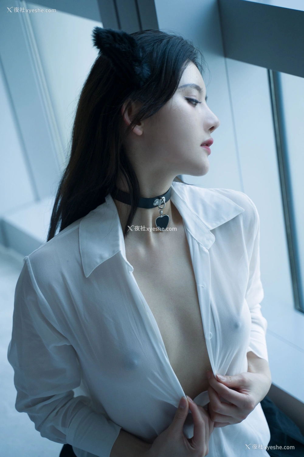 1P - 就是阿朱啊《猫》