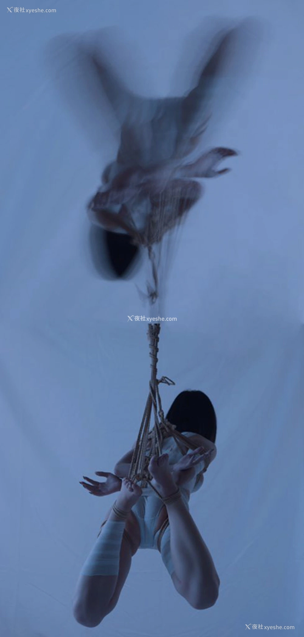 1P - 摄影师是猫啊作品集