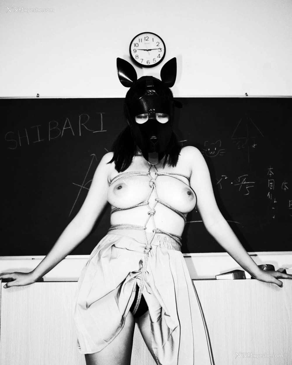 1P - 摄影师是猫啊作品集