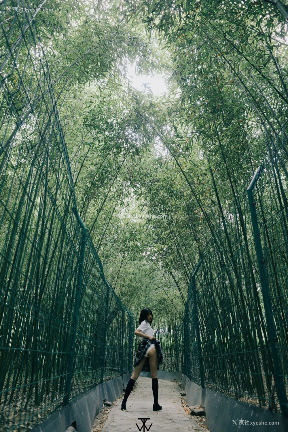 1P - 摄影师是猫啊作品集
